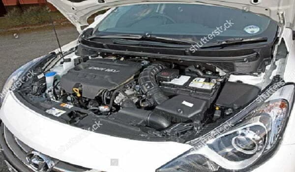 گریبکس سانگ یانگ اکتیون